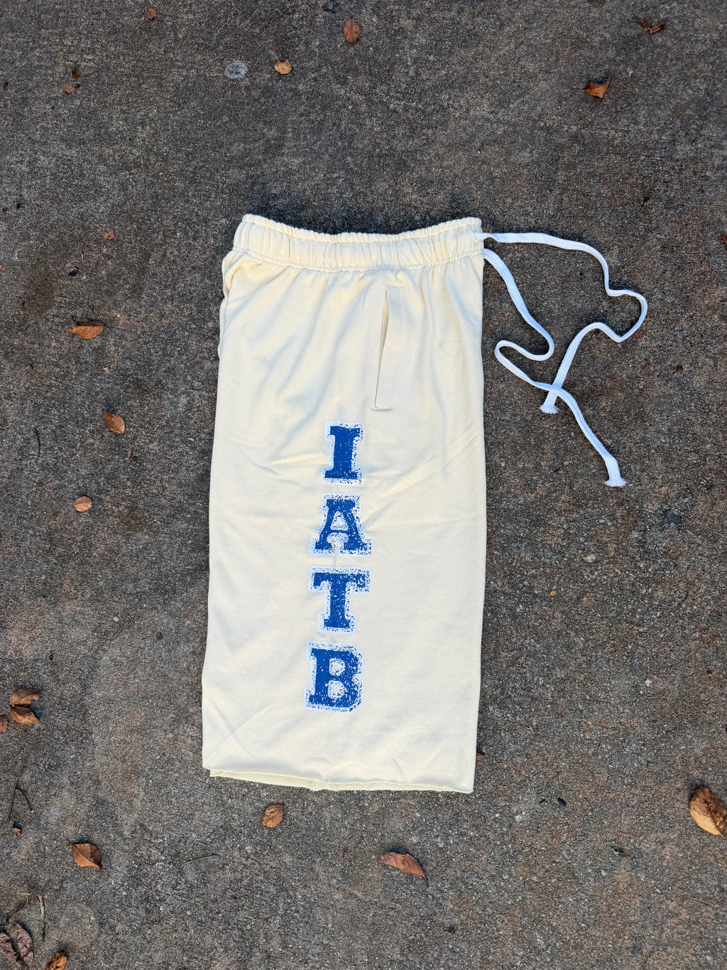 I AM TRENDING SWEATSHORTS
